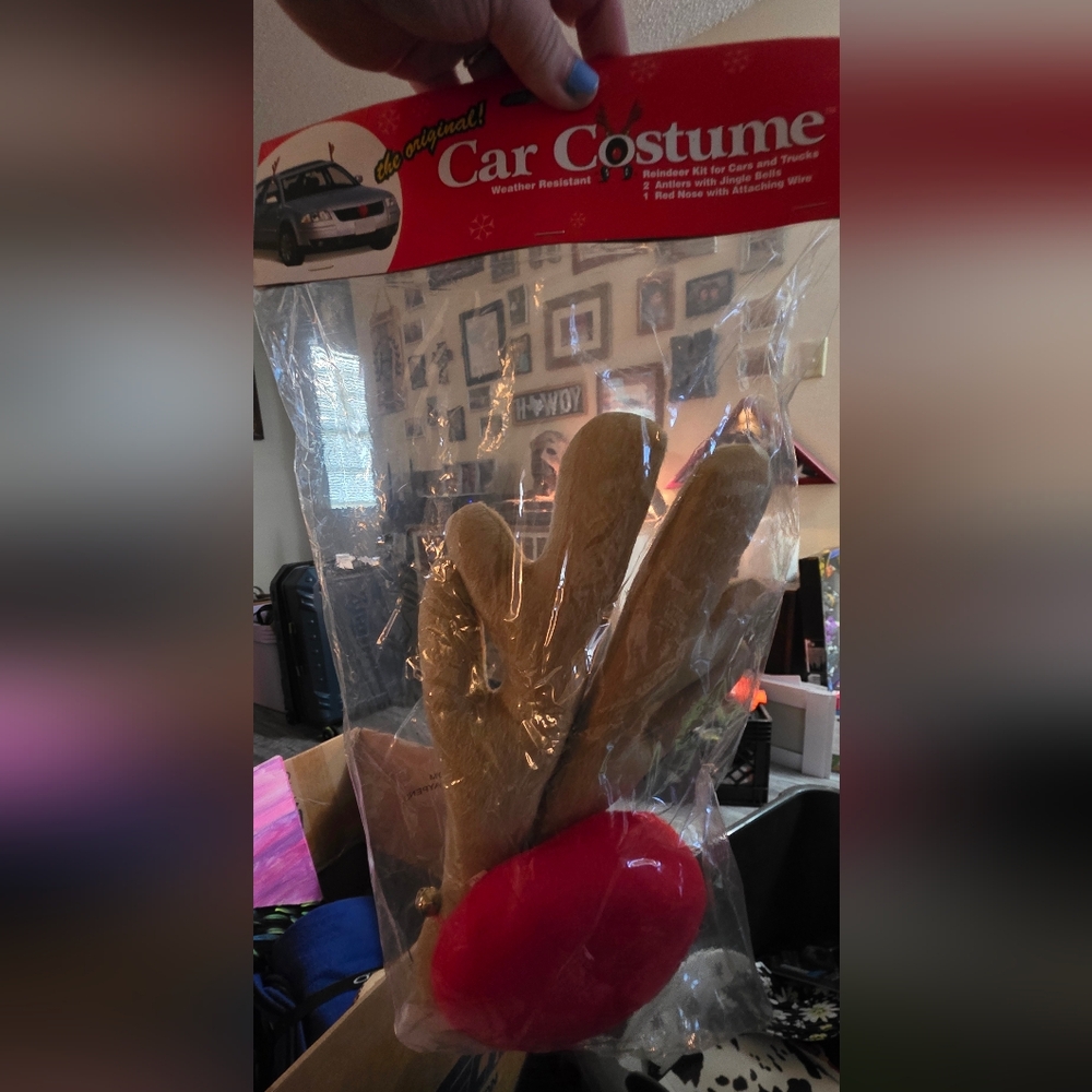 Reindeer Car Costume